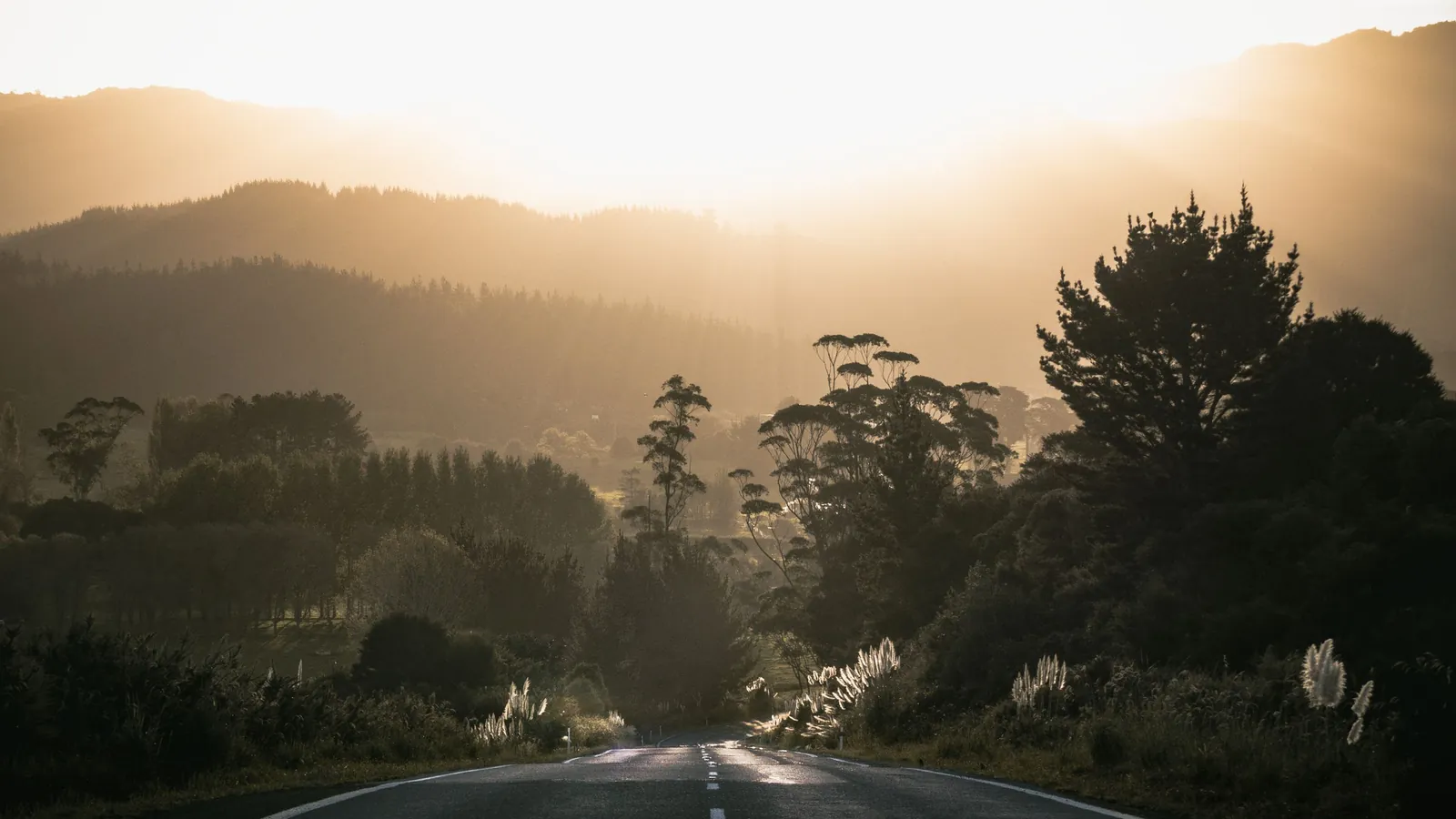 An open road winding through misty hills at sunrise.